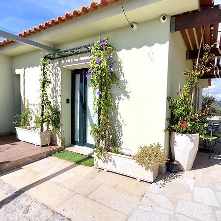 Fernandes Guest House Bright Private Suite Ponte de Lima Extérieur photo