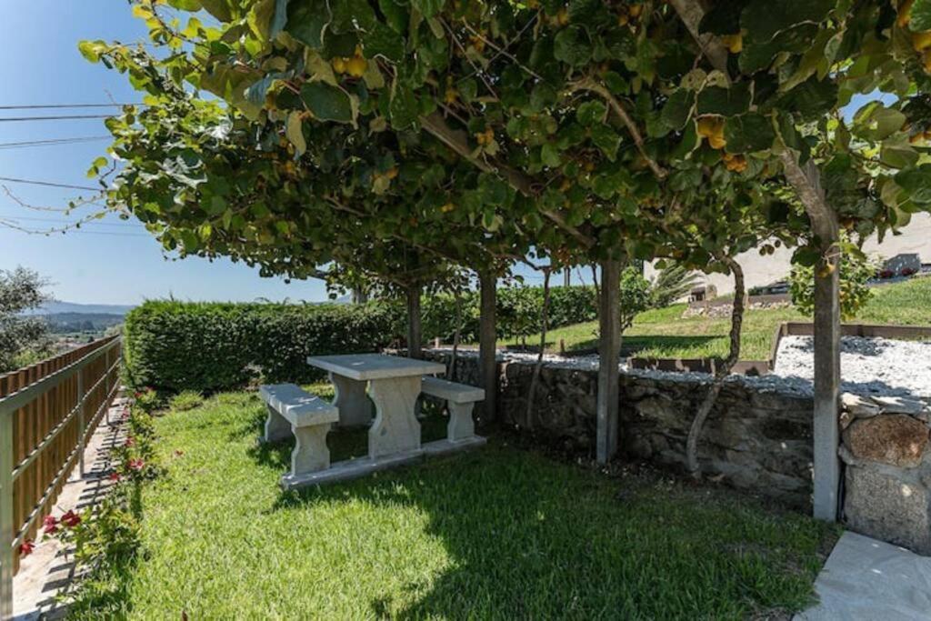 Fernandes Guest House Bright Private Suite Ponte de Lima Extérieur photo